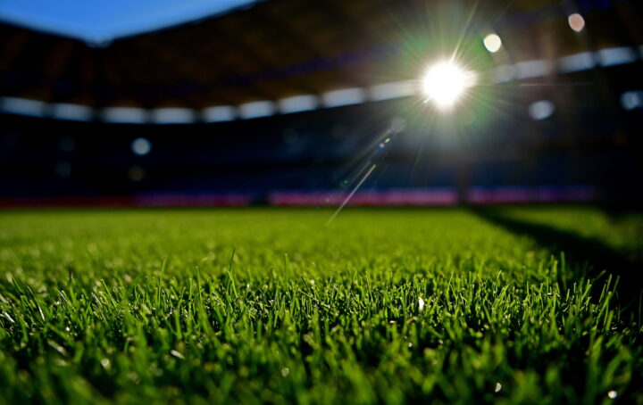 So grün soll der Rasen auch zum Rückrundenstart des HSV gegen Eintracht Braunschweig aussehen. (Foto: Witters)