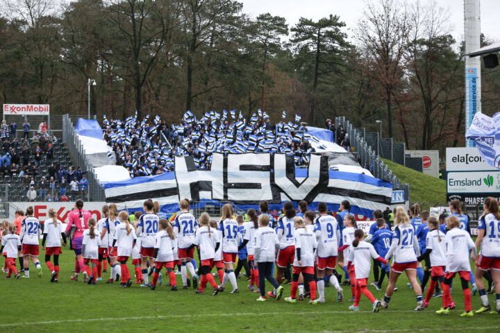 Choreo der HSV-Fans in Meppen