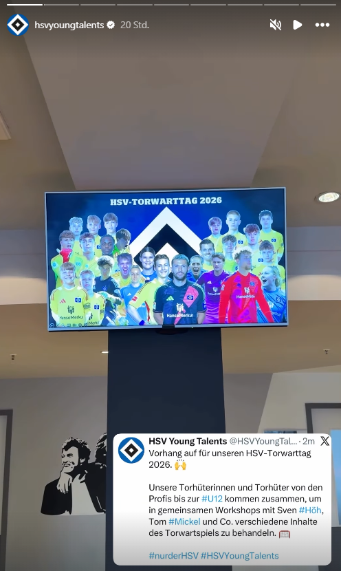 Eine Instagram-Story des HSV.
